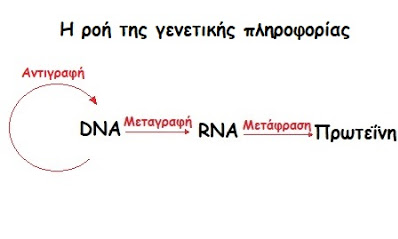 messenger RNA, Εμβόλιο; ή γενετική τροποποίηση του ανθρώπου;