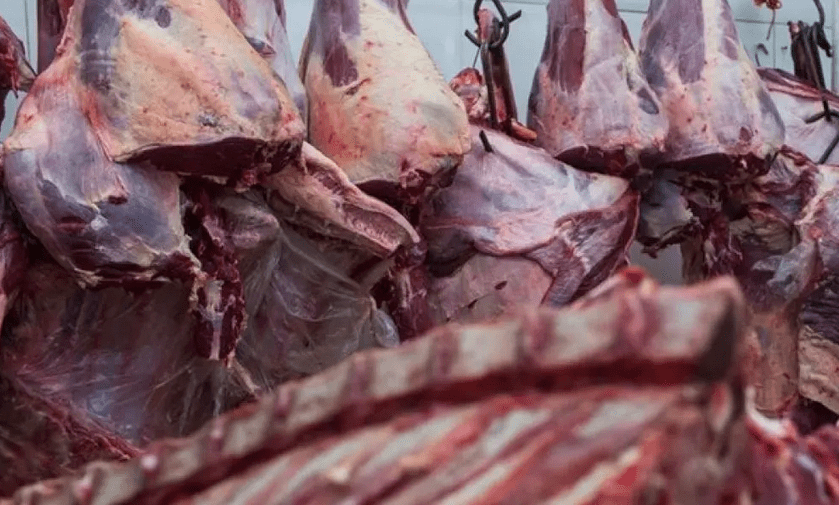 Σάπια κρέατα «μοιράζει» η Περιφέρεια Αττικής σε άπορες οικογένειες