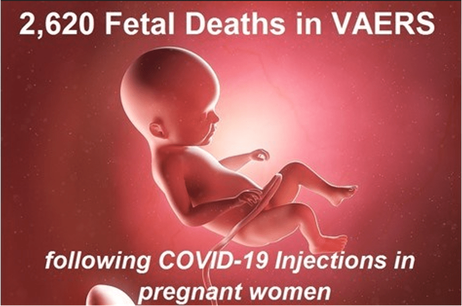 2.620 νεκρά μωρά μετά από εμβόλια-COVID σε εγκύους (ΗΠΑ)