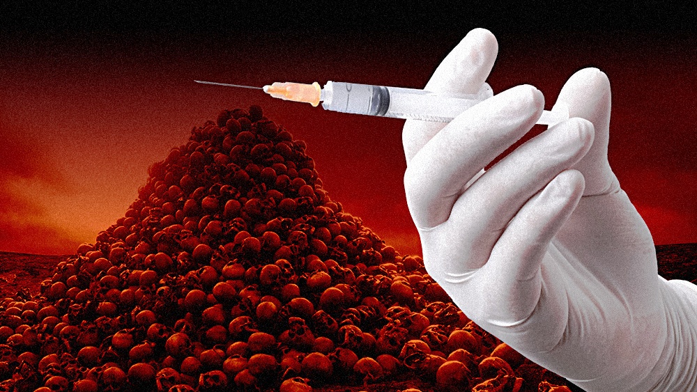 “Σκάνδαλο” : Το Ανώτατο Δικαστήριο της Γερμανίας Παραδέχεται ότι τα εμβόλια Covid Είναι Επιβλαβή, Ακόμη και “Θανατηφόρα” – Αλλά Διατηρεί την Εντολή (βίντεο)