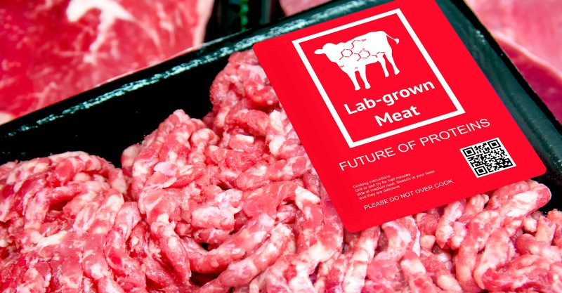 “Ένα ματωμένο μυστικό” Secret” –  Εργαστηριακό Κρέας Φτιαγμένο με Αγέννητο Αίμα Αγελάδας