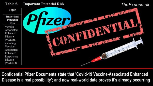 Η Pfizer παραδέχεται ότι η ενισχυμένη νόσος που σχετίζεται με το εμβόλιο είναι ένας θεωρητικός κίνδυνος που σχετίζεται με την πειραματική γονιδιακή θεραπεία Covid-19, η οποία έχει εγχυθεί στα χέρια εκατοντάδων εκατομμυρίων ανθρώπων σε όλο τον κόσμο
