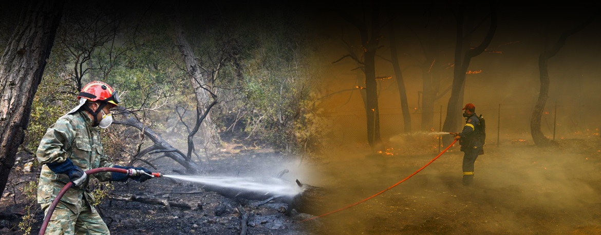 ΣΤΟΝ ΚΟΣΜΟ ΤΗΣ η κυβέρνηση: «Κάηκε μόνο το 70% του Εθνικού Πάρκου της Δαδιάς!»