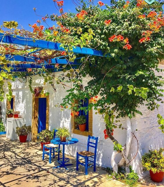 το καμαράκι… (μουσικό βίντεο και ταινία)