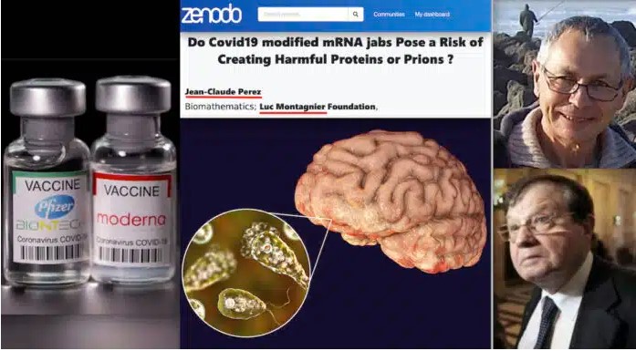 Διαβολικό μόριο μέσα στα εμβόλια mRNA παράγει επιβλαβείς πρωτεΐνες ως Killer Prions, “Brain-Tating Amoeba”