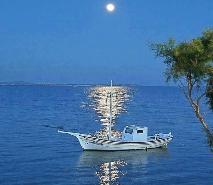 πέτα τις σκέψεις και κράτα την ψυχή…  (μουσικό βίντεο, χιούμορ και ταινία)