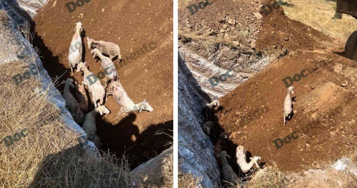 Διαβάστε το, ενημερωθείτε και… ΑΝΤΙΔΡΑΣΤΕ, ΓΙΑΤΙ Η ΜΗΤΣΟΤΑΚΙΚΗ ΣΥΜΜΟΡΙΑ, ΕΧΕΙ ΣΤΟΧΟ ΝΑ ΑΦΑΝΙΣΕΙ ΤΟΝ ΕΛΛΗΝΙΚΟ ΛΑΟ…