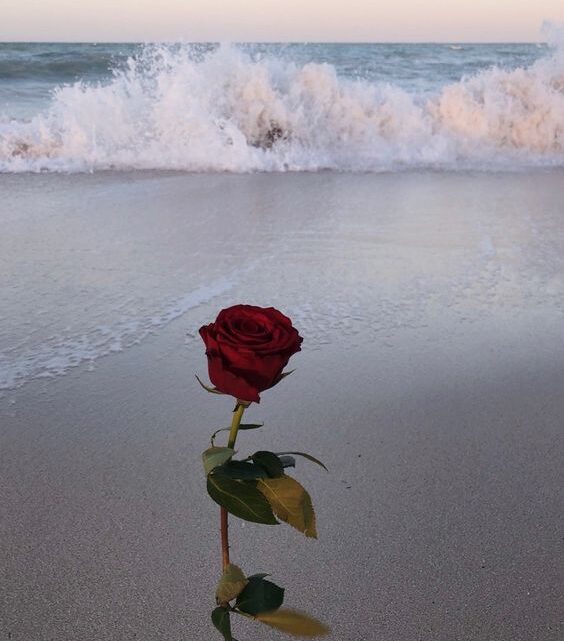 εκείνο το “κάτι”… μουσικό βίντεο, χιούμορ και ταινία)
