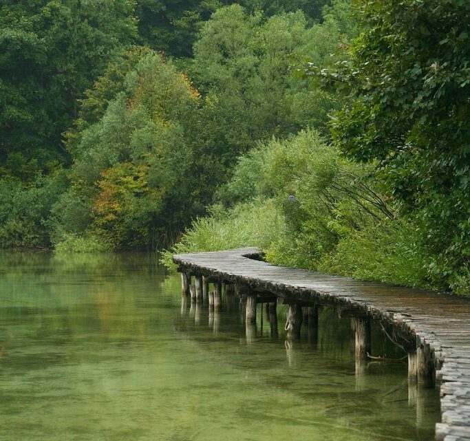 η ζωή, μετριέται με τις επιλογές μας… (μουσική, χιούμορ και ταινία)